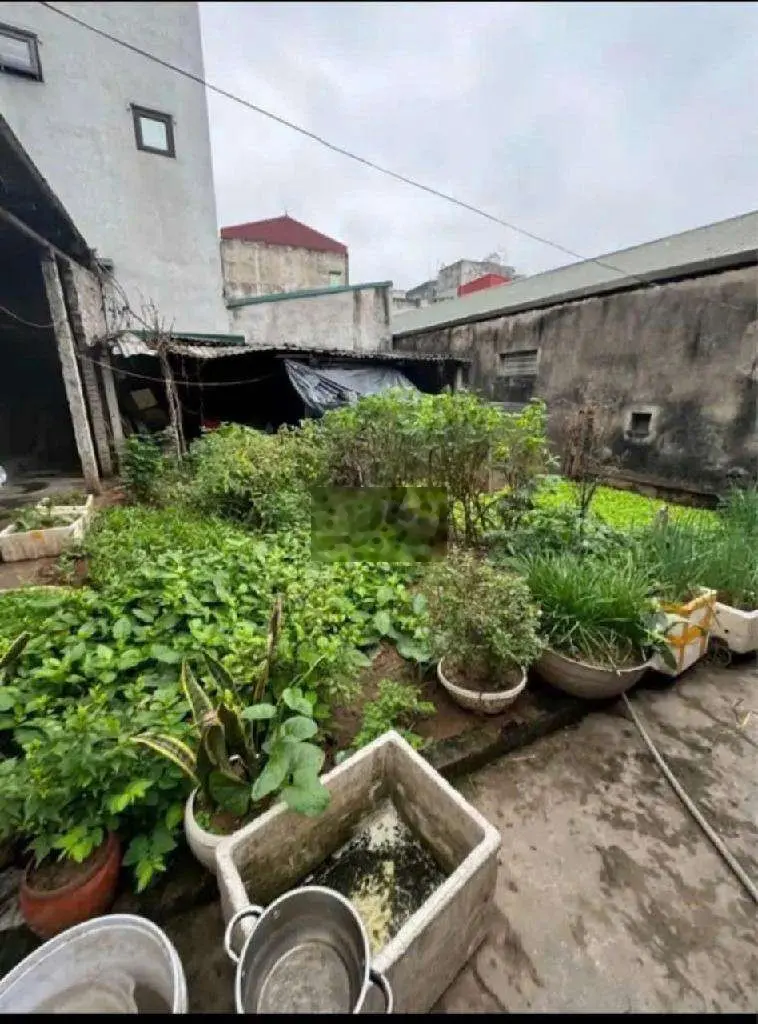 Bán đất phúc lợi , vuông đẹp , gần ô tô , diện tích rộng , giá hợp lý