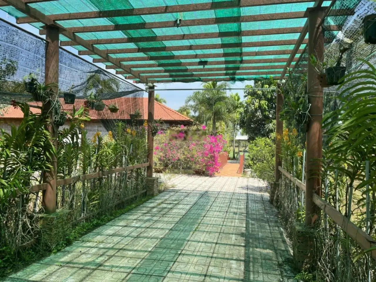 Nhà vườn 7.800m2 gần sông Sài Gòn - Khuôn viên đẹp như resort