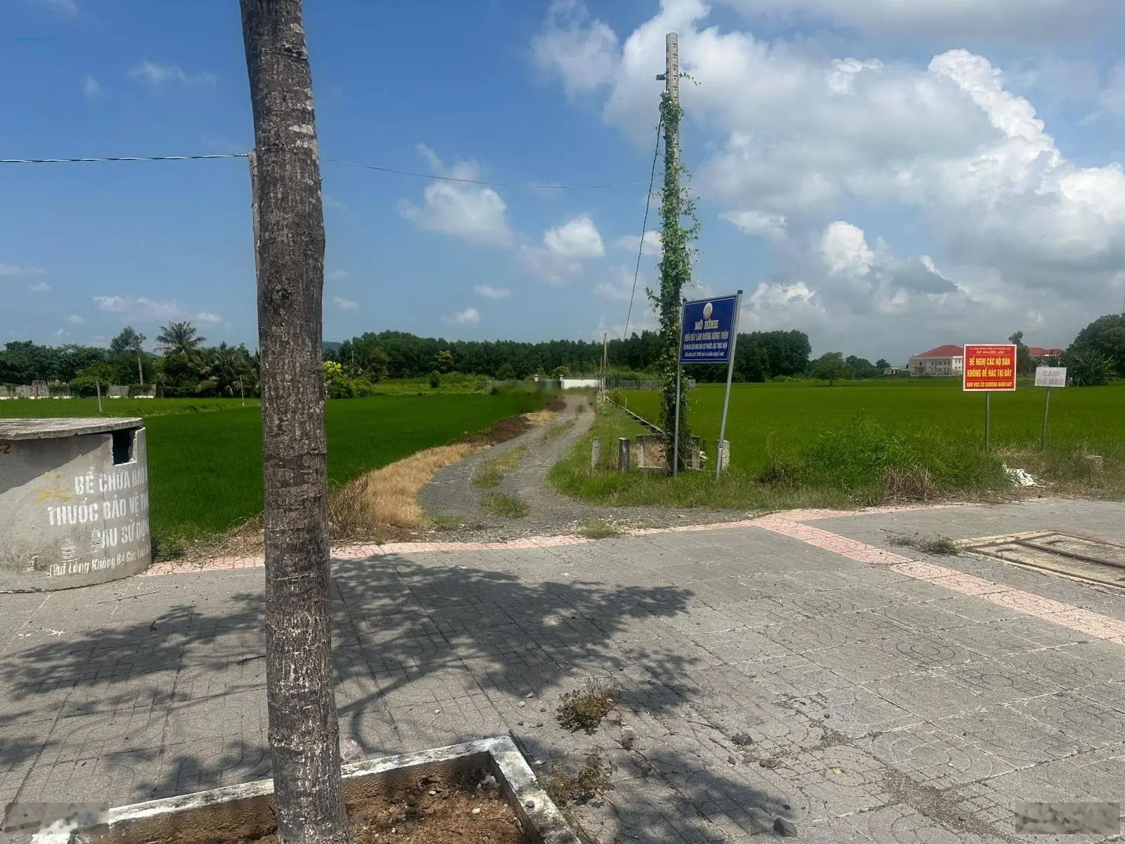 Cần bán lô đất view ruộng TT - Đất Đỏ, Huyện Đất Đỏ, BRVT