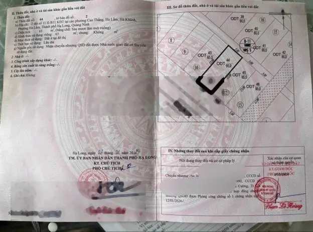 BÁN LÔ B11-11 KĐT LIDECO BÃI MUỐI,P.CAO THẮNG. DT:65M2,MT:5M !!!