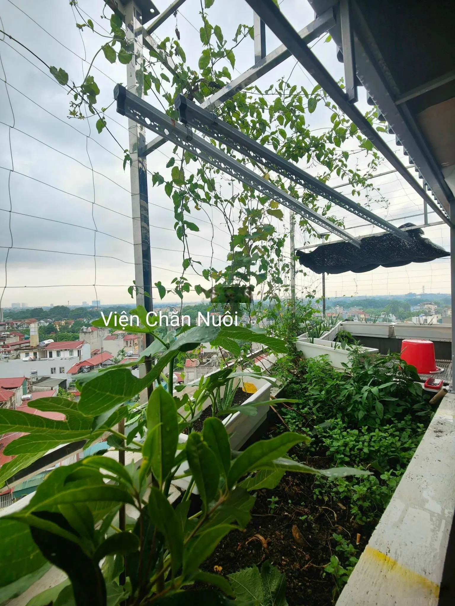 Bán CCMN Văn Hội Bắc Từ Liêm 91m2 x 9T 18 phòng KK dòng tiền khủng ô tô nhỉnh 11 tỷ
