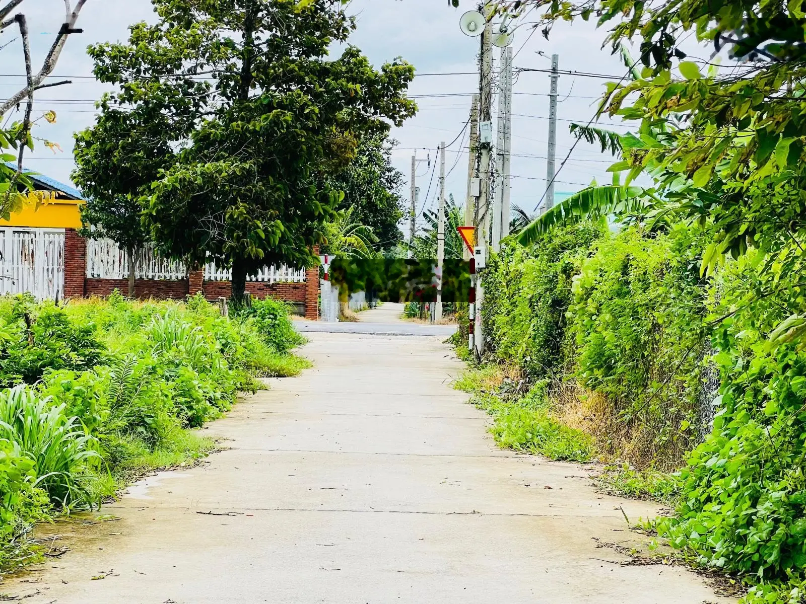Bán đất Long Mỹ - TT Phước Hải 1000m2, MT 33m giá tốt đầu tư xây nhà vườn