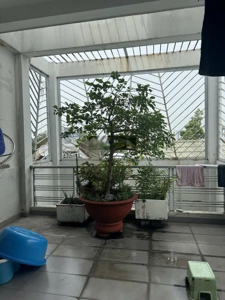 Bán nhà mặt tiền Lạc Long Quân Tân Bình 75m2 5 tầng thang máy, 19,45 tỷ
