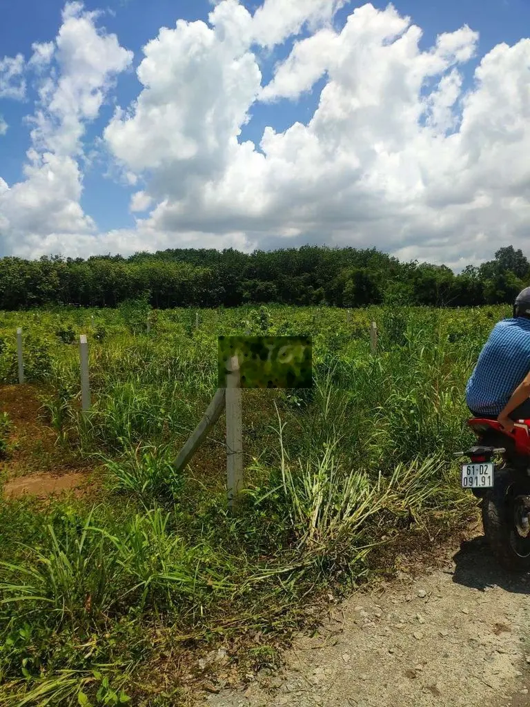 Đất đẹp lô số 9, 418m2 ngang 6m gần trường Tiểu Học An Tây