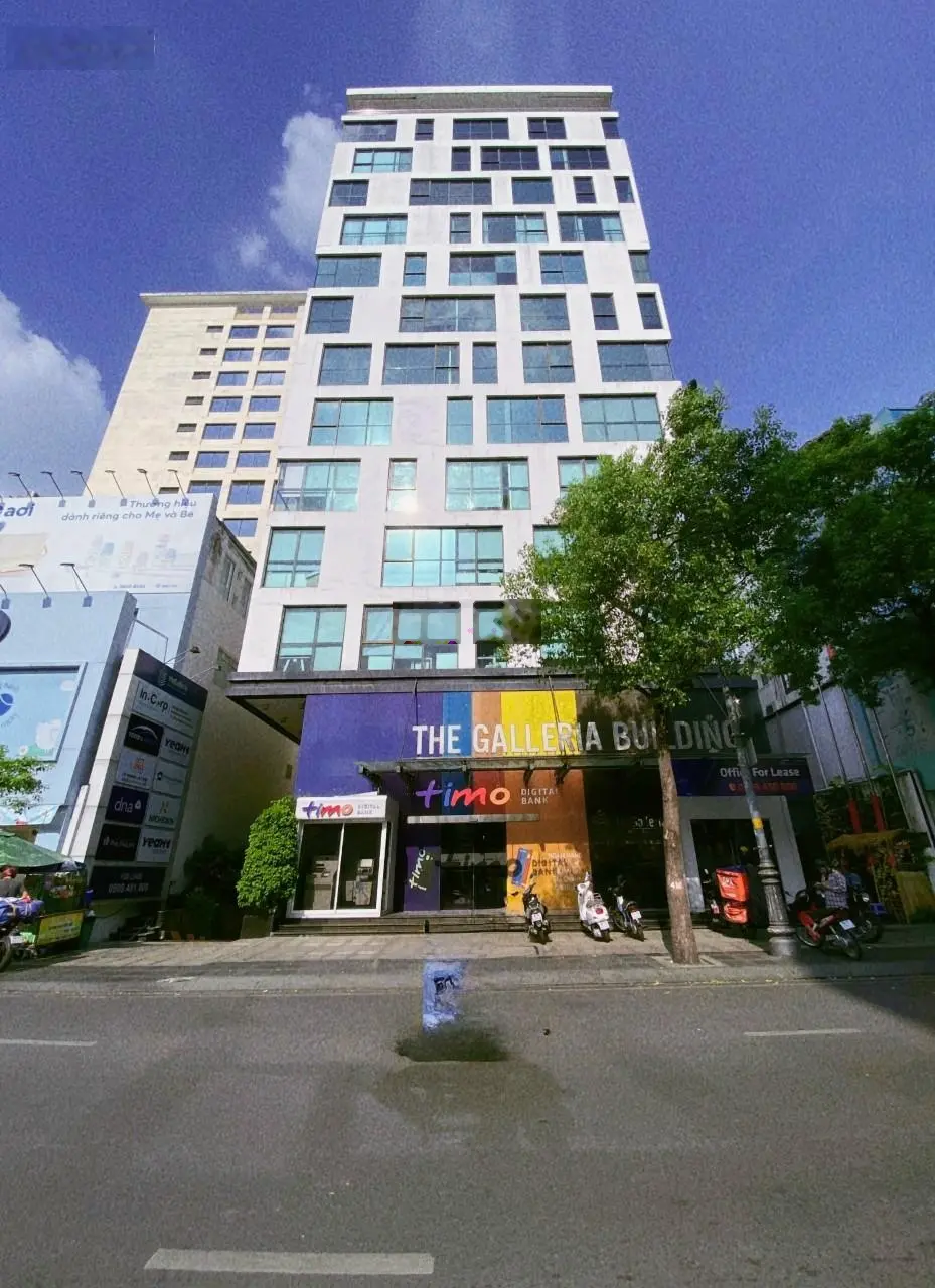 Bán building MT Cửu Long, Tân Bình, 11 x 25m, 8L. Giá 65 tỷ TL