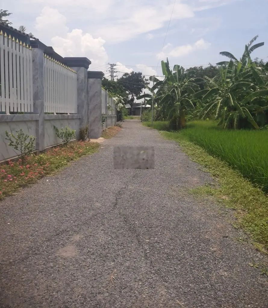 💎 Bán Đất (30 x 50m) nhựa 3m gần Tỉnh Lộ 873B xã Tân Trung, TP Gò Công