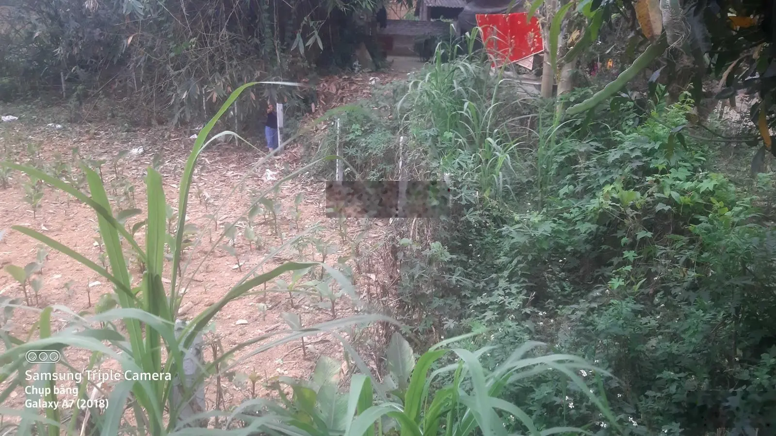 Bán 7.000 m2 đất view đẹp cách Hội nghị Quốc gia 50 km