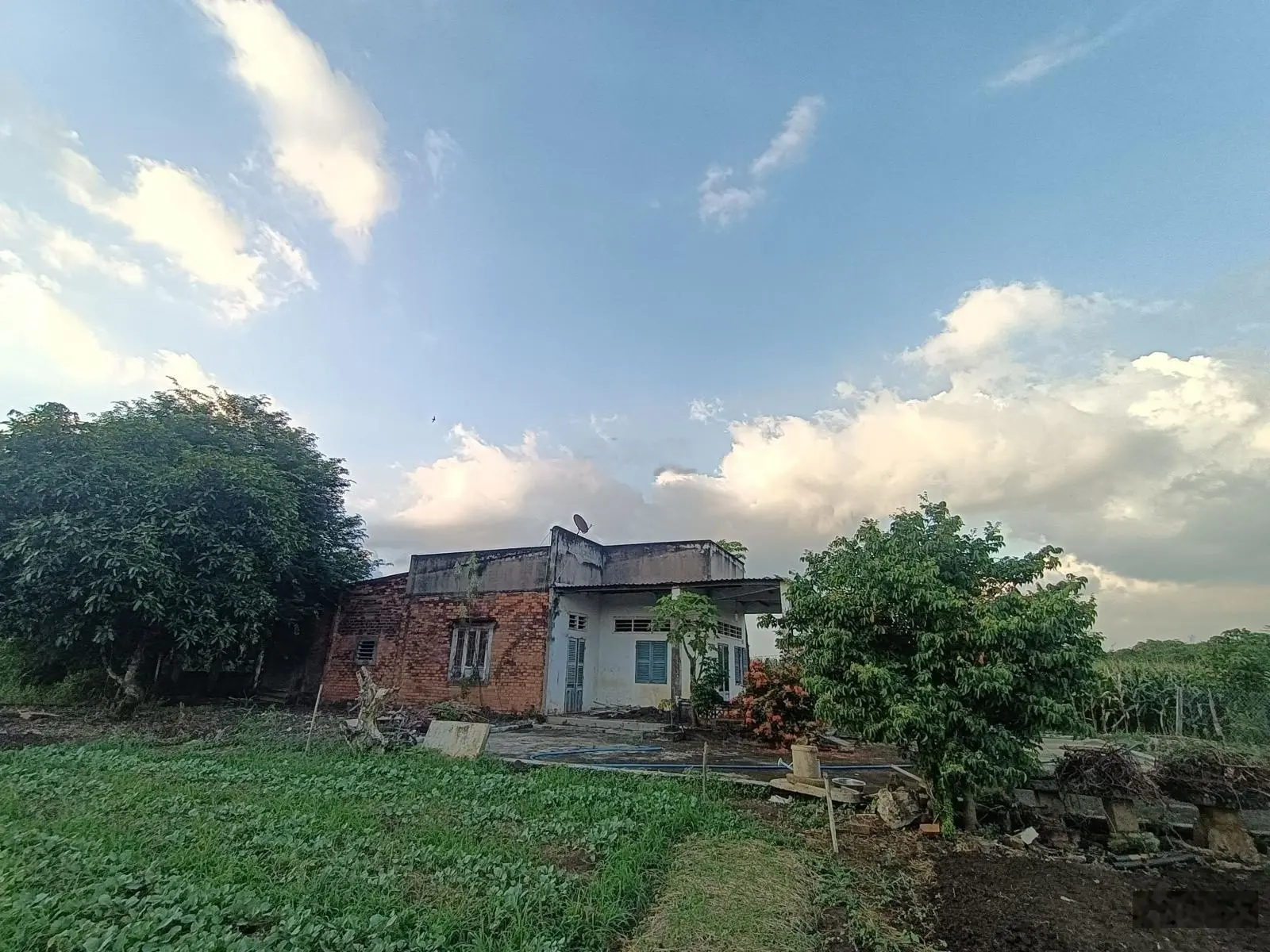 Bán trang trại đẹp tại xã xuân tây, giá siêu hời 1,15 tỷ vnd, diện tích 5000 m2