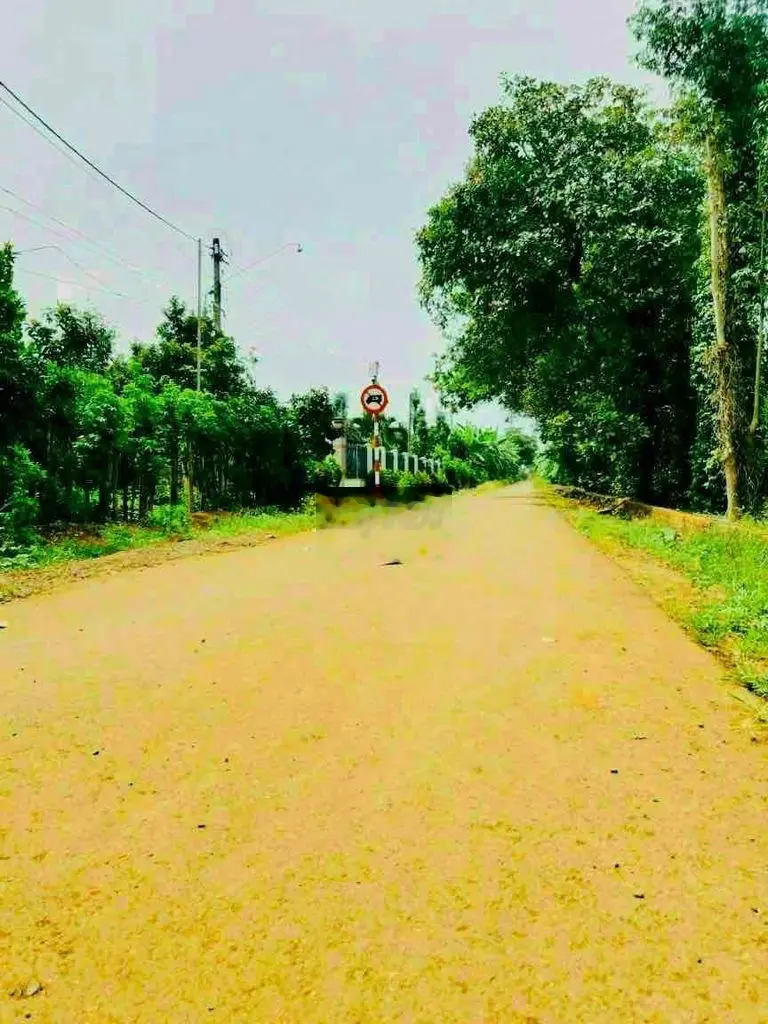Chủ nợ Ngân Hàng, bán gấp lô đất: 30x45m, đường ôtô, giá 850tr.