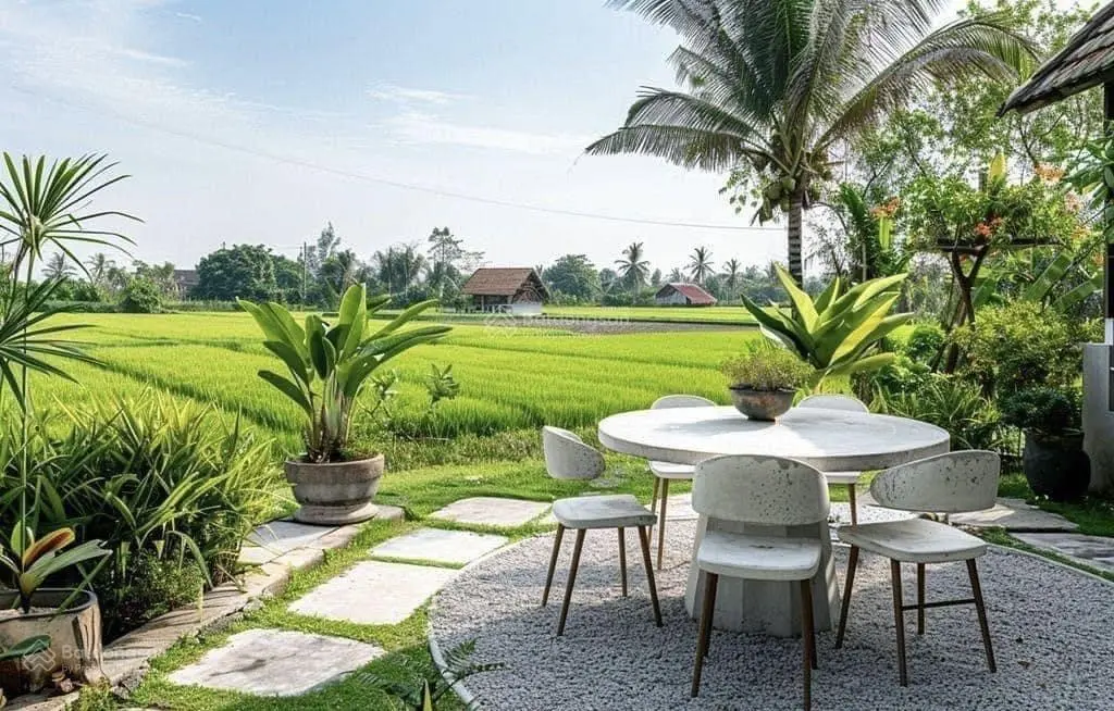 500m2 thổ xây nhà vườn, biệt thự, kho, xưởng giá rẻ, cách QL50 600m, 2 sổ riêng, có bán lẻ