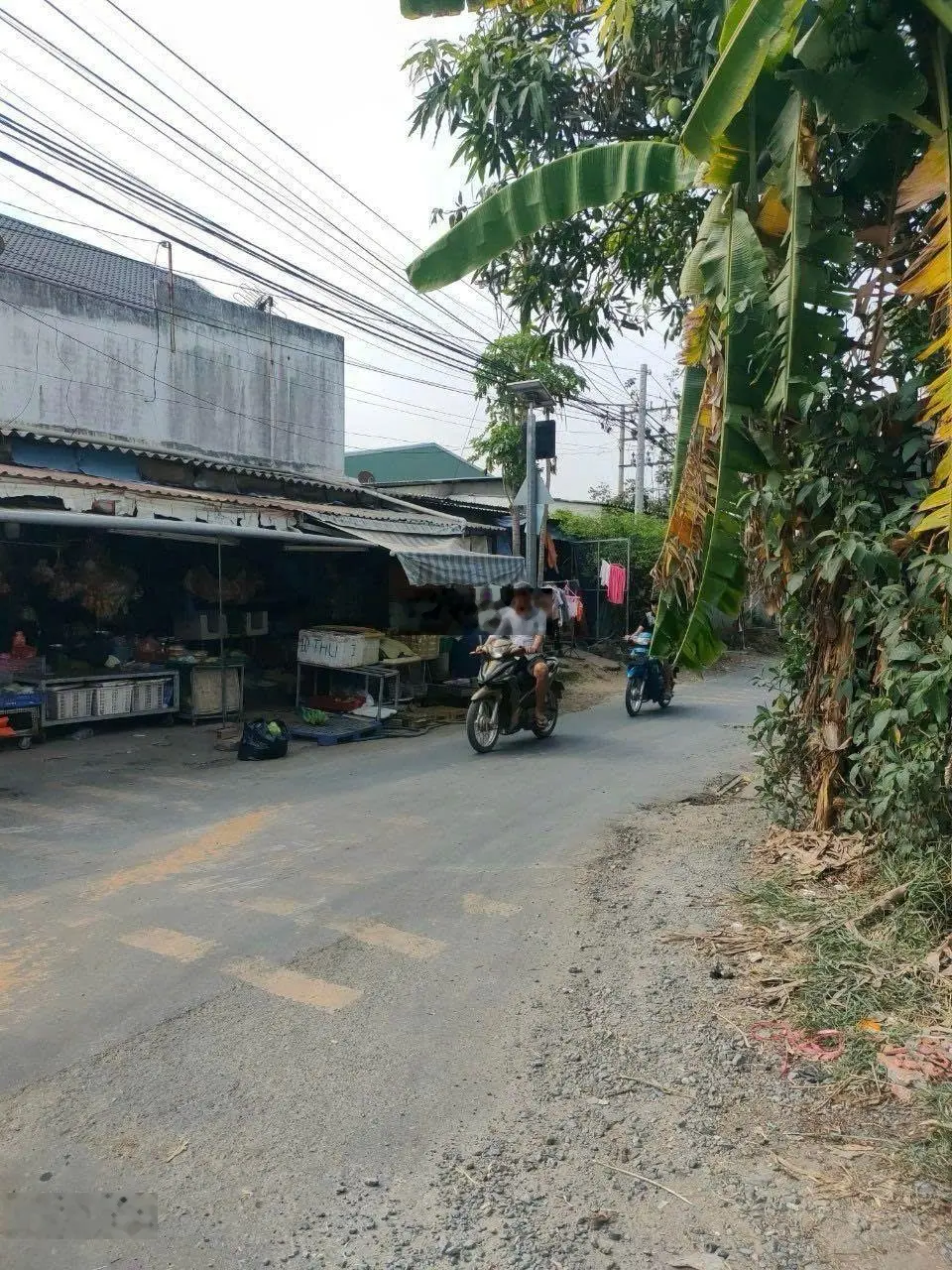 Lô đất nghỉ dưỡng biển Thạnh Phú, TT. Thạch Phú 200m2 giá F0, thổ cư, xây dựng tự do, SHR