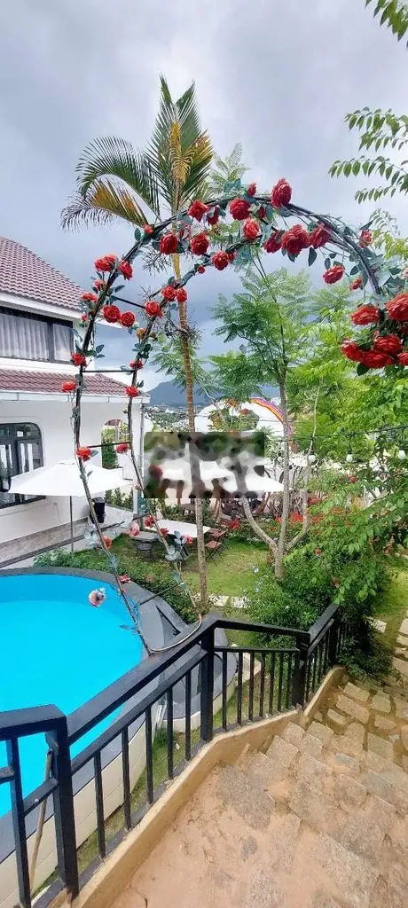 🏠Biệt thự mới xây view rừng thông mặt tiền Ankoret- phường 7- Đà Lạt