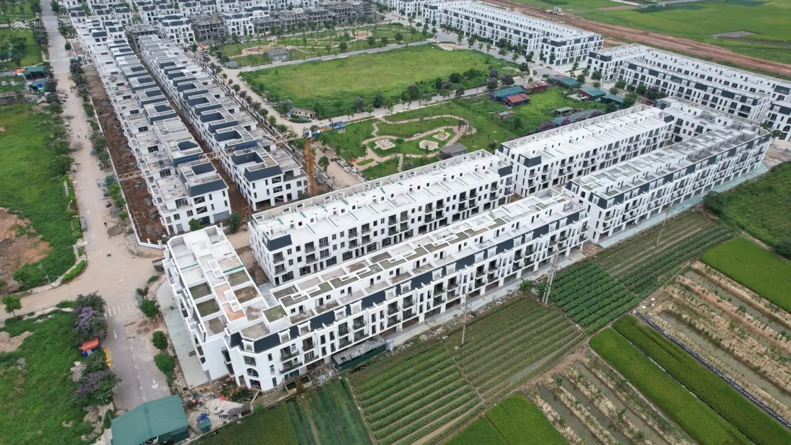 Quỹ căn biệt thự, nhà vườn đa dang, chênh nhẹ sau phiên đấu giá 02/08/2024 tại HUD Mê Linh Central.