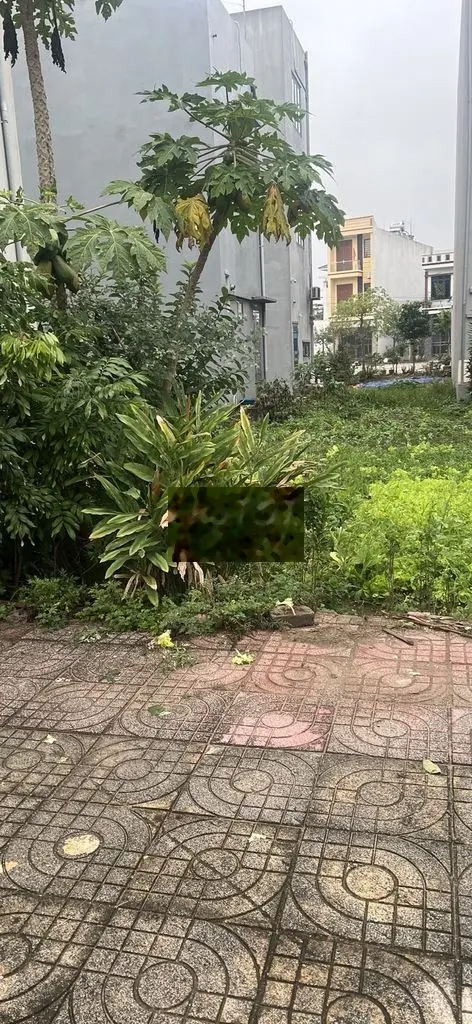 Bán đất hướng Tây Nam tại Phú Xuân, Thái Bình. Diện tích 71,4m2, giá 2,2 tỷ