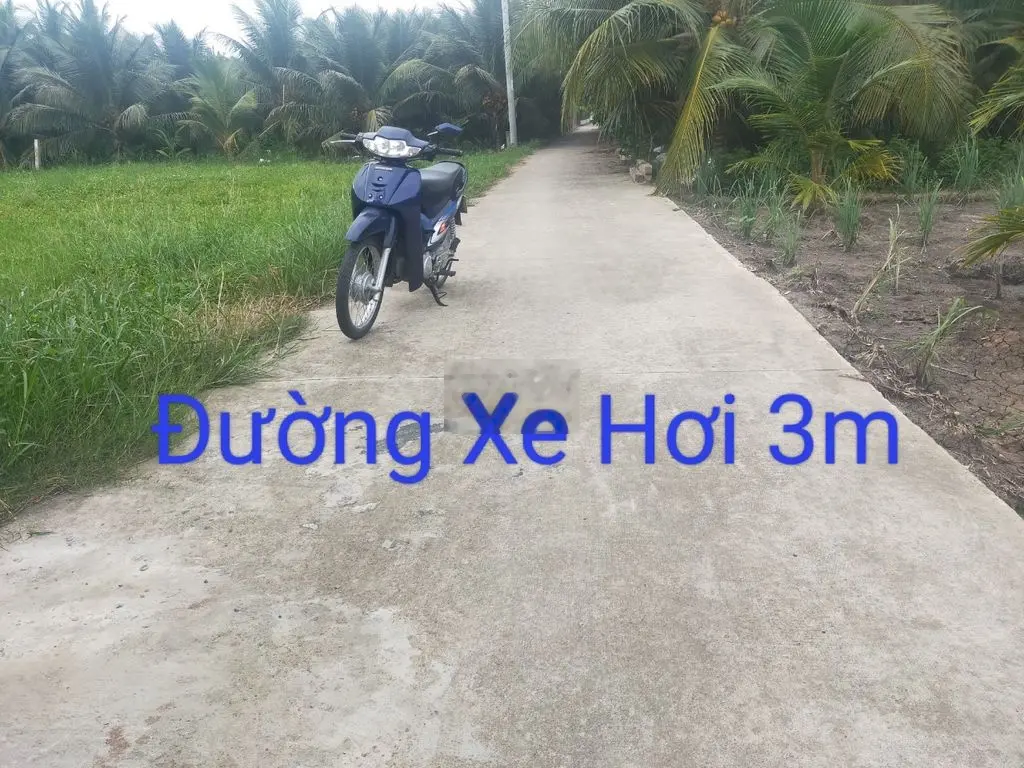 đất Thị Trấn Chợ Gạo sát bên QL50 đường xe hơi 3m giá fo siêu tốt