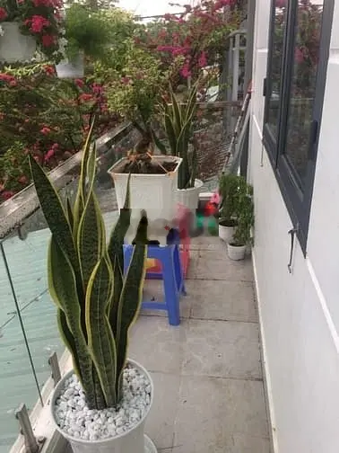Bán Nhà lầu + phòng trọ , P.Tăng Nhơn Phú B, Quận 9 - 4 tỷ 950/ 81m2