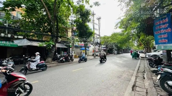 Bán nhà tại Phố Hai Bà Trưng, Cát Dài, Lê Chân, Hải Phòng, 31,25 tỷ, 125m2