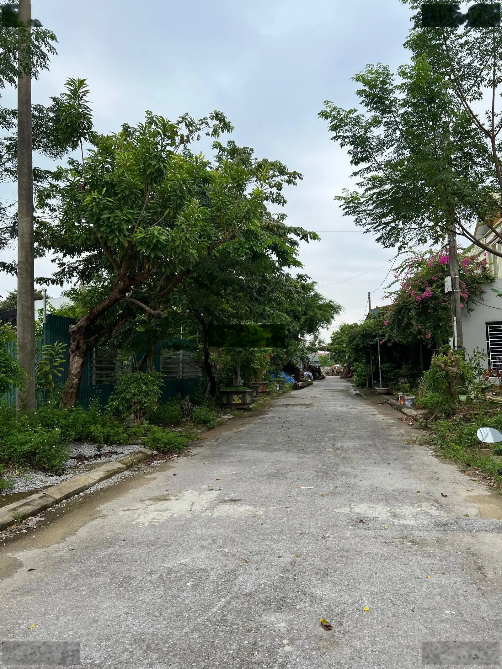 Cần bán lô đất khu TT Môi Quảng Tâm, Thanh Hoá, ngay gần xưởng gỗ