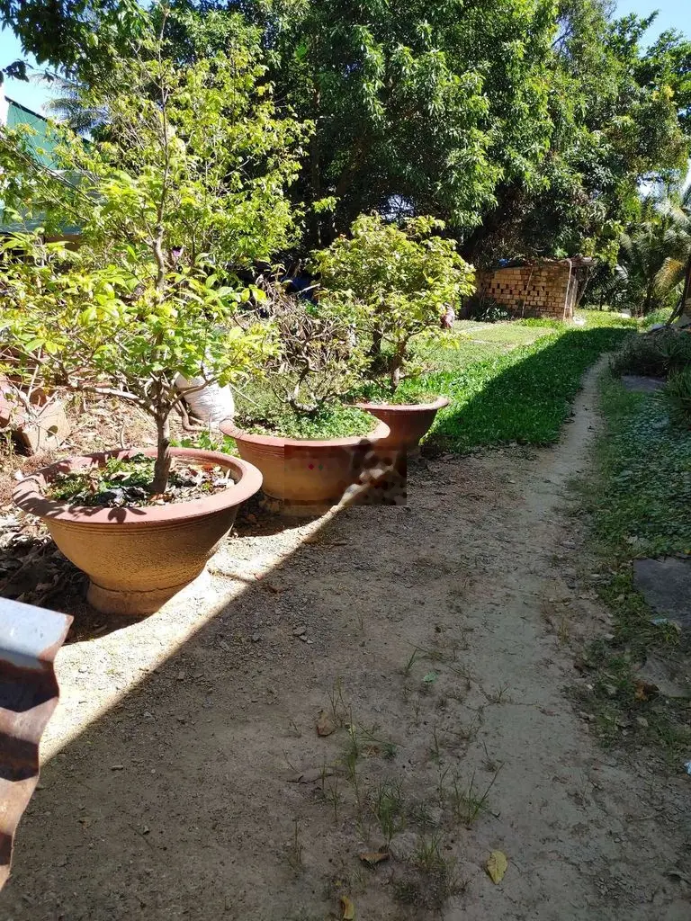 Bán lô đất gần quảng trường cát tiên phạm văn đồng 6x 49m
