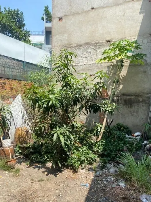 Bán nhà hẻm nhựa xe tải một trục gần MT - DT khủng 318m2 đầu tư sinh lời ngay!