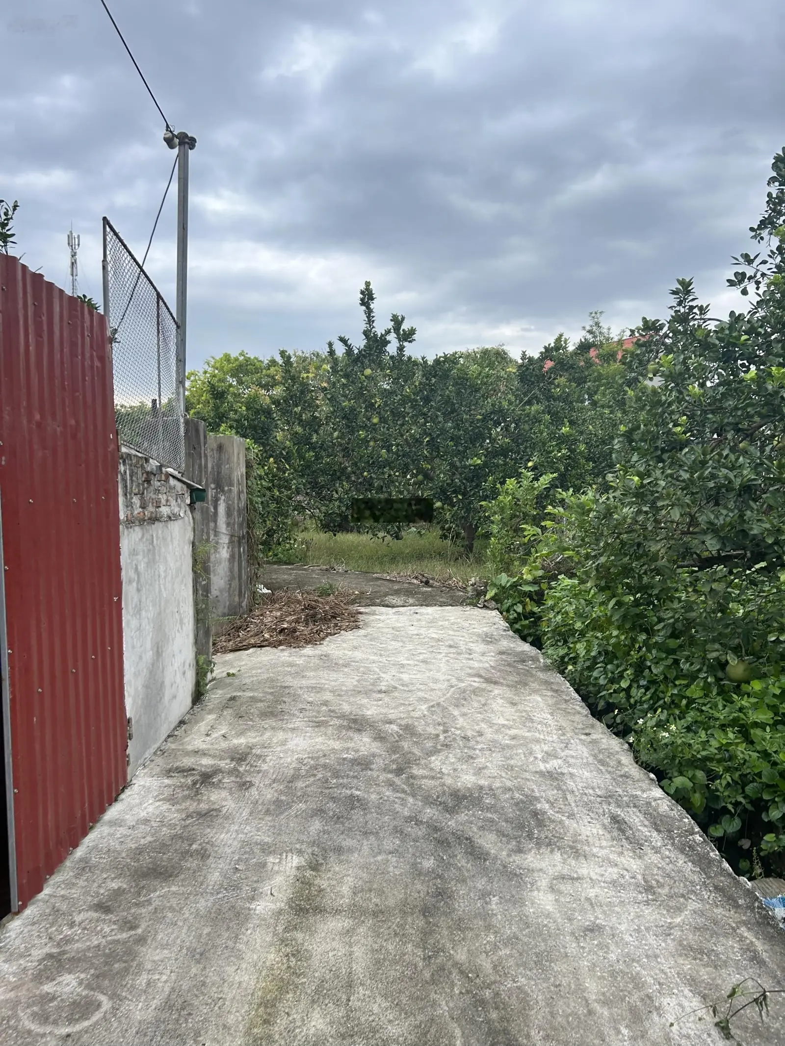 Tài chính 1,3 tỷ sở hữu 50m2 tại Liên Nghĩa, Văn Giang cách đường ô tô tránh chỉ 50m