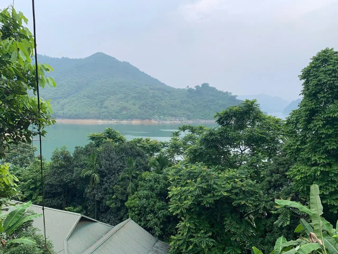 Siêu phẩm 1700m2 đất ở đô thị 240m2 còn lại là đất vườn trồng cây lâu năm tại Thái Bình, Hòa Bình
