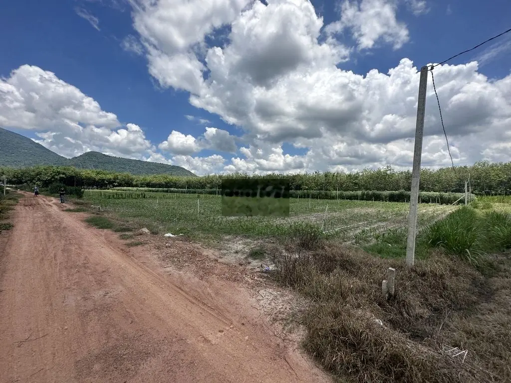 Thạnh Tân, Tp.Tây Ninh. Bán đất sào 20x52m CLN, Đường mở rộng. 850tr