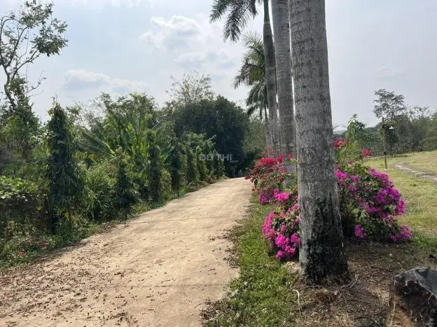Bán BĐS nghỉ dưỡng tại Suối Râm, xã Xuân Quế, H. Cẩm Mỹ, Tỉnh Đồng Nai.