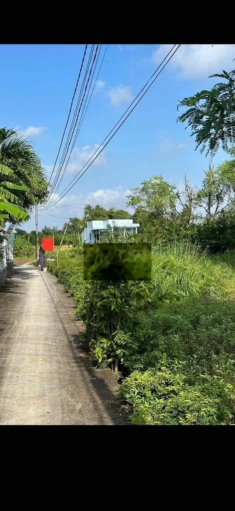 đất lúa cần bán