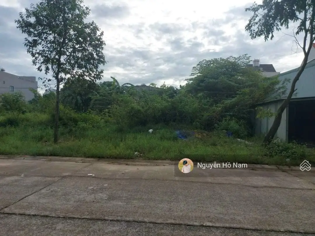 Bán gấp miếng đất ở KDC Tràng An, Đ. Số 11, P. 7, Bạc Liêu, 100m2, SHR sang tên ngay, TC 100%