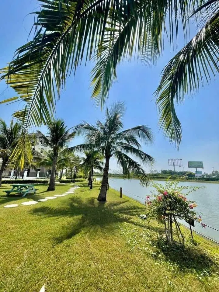 Đào Dừa Siêu Phẩm Duy Nhất Khu khép kín