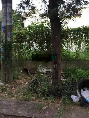 Bán nhà MT Vành Đai Trong, P. Bình Trị Đông B, 4 x 25m, cấp 4, 13,5 tỷ