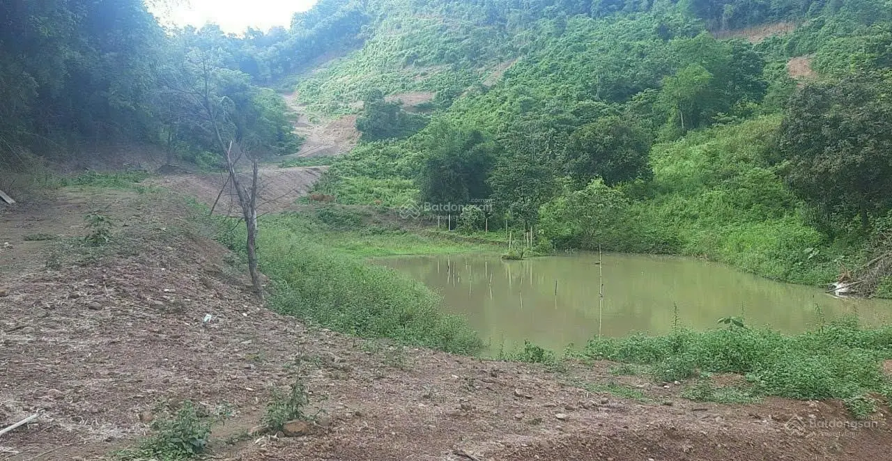 Cần bán lô đất 5ha cho anh chị làm nghỉ dưỡng, làm thiền, xây Homestay, khu thuiowng mại dịch vụ
