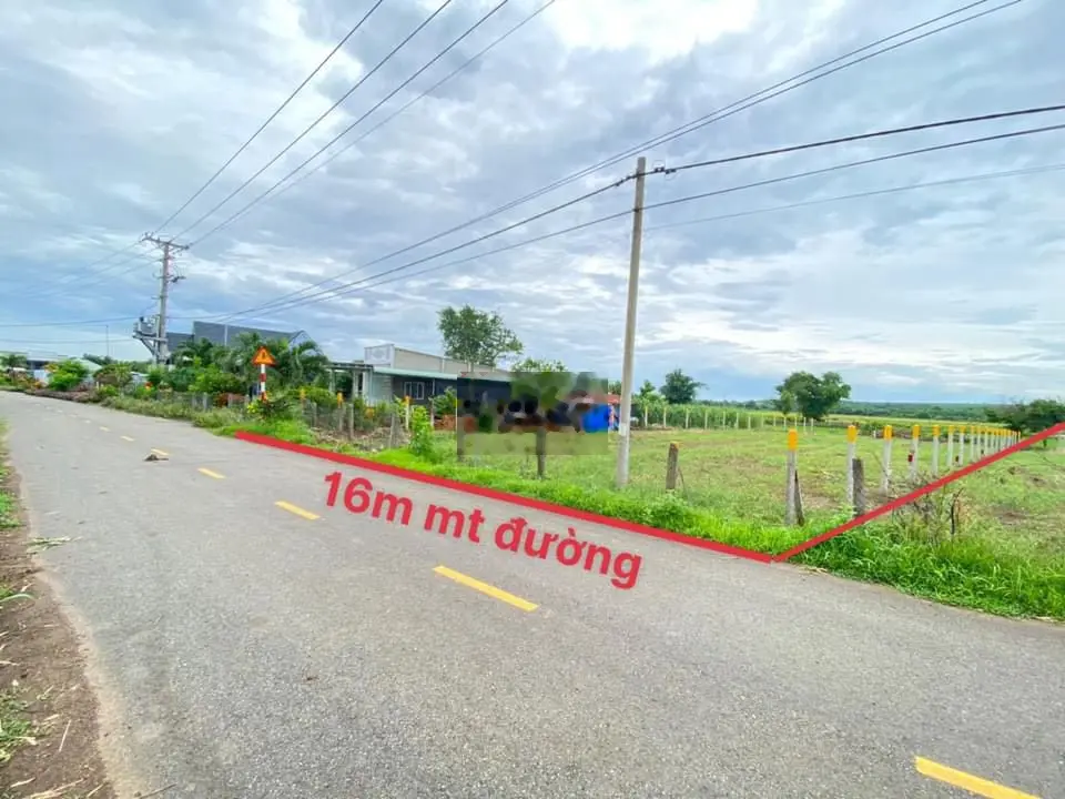 BÁN GẦN 1 SÀO ĐẤT SẴN THỔ CƯ ĐƯỜNG NHỰA KHU DÂN CƯ XÃ LÁNG DÀI ĐẤT ĐỎ