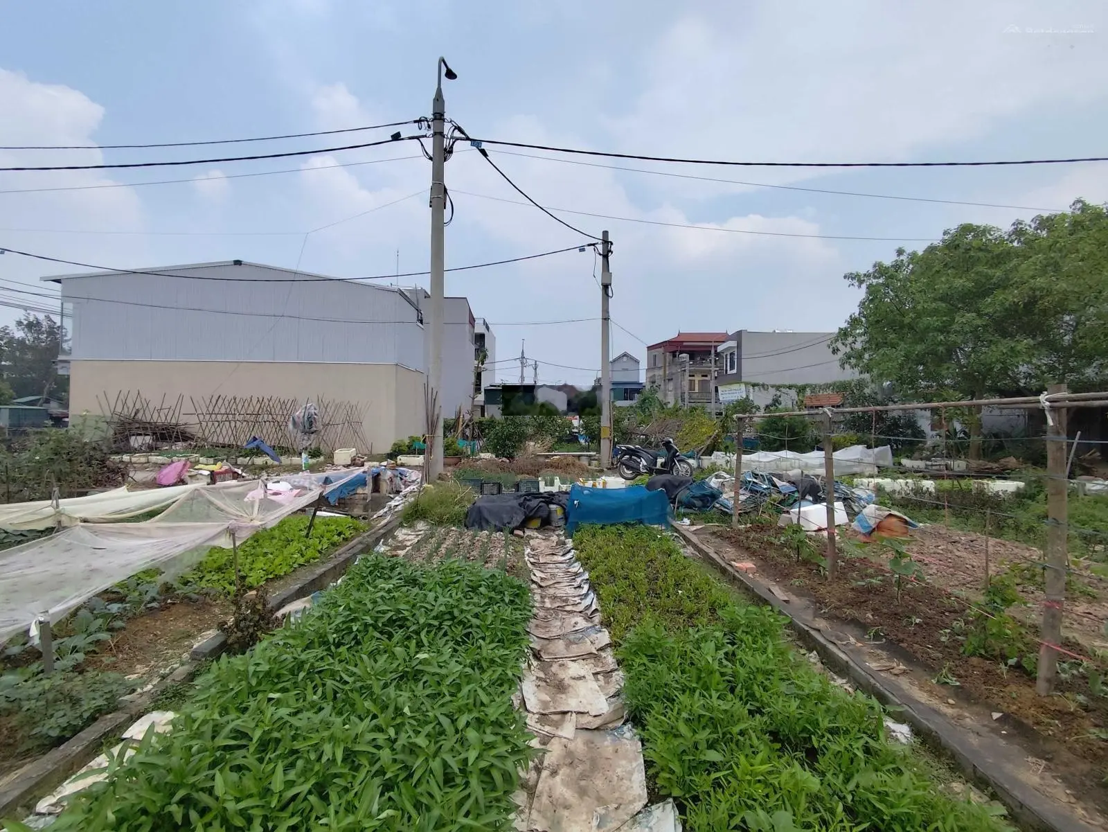 Bán 54m MT gần 4m đất đấu giá X1 xã Lại Yên. Đường oto thông, gần Hồ thoáng mát. Sổ đỏ chính chủ.
