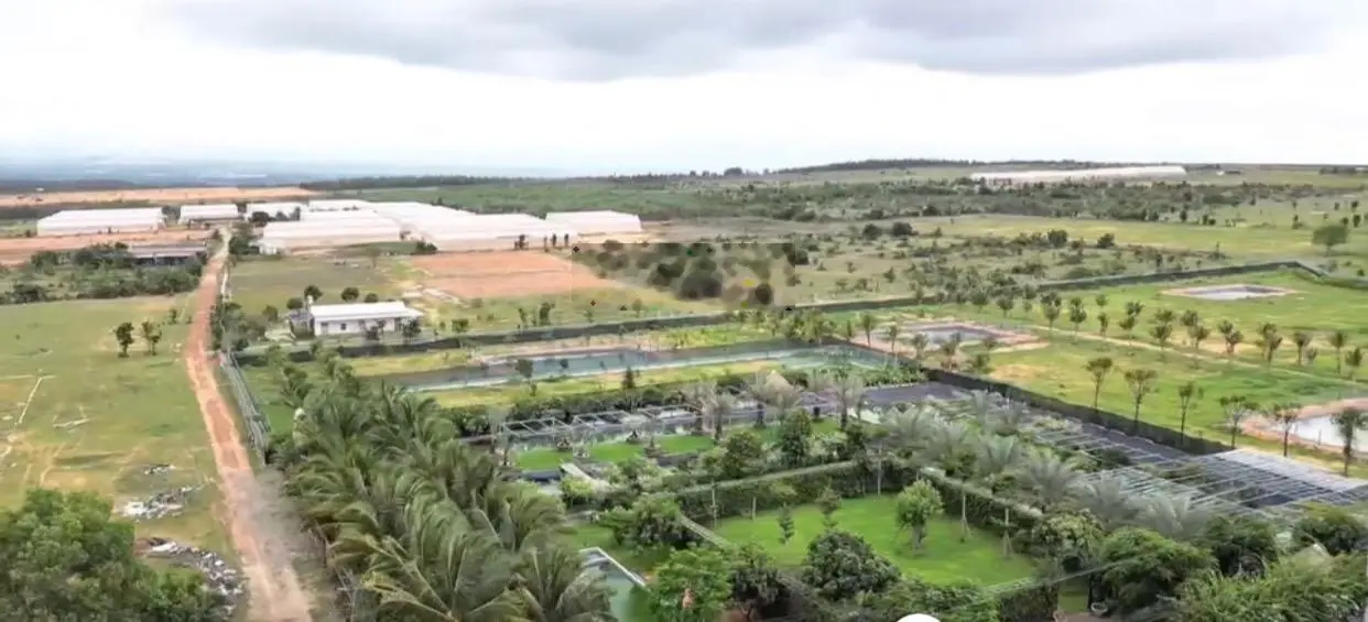 3036m2 mô hình làm dưa lưới công nghệ cao khu vực hoà thắng, nhà lưới có sẵn, đường sỏi 8m