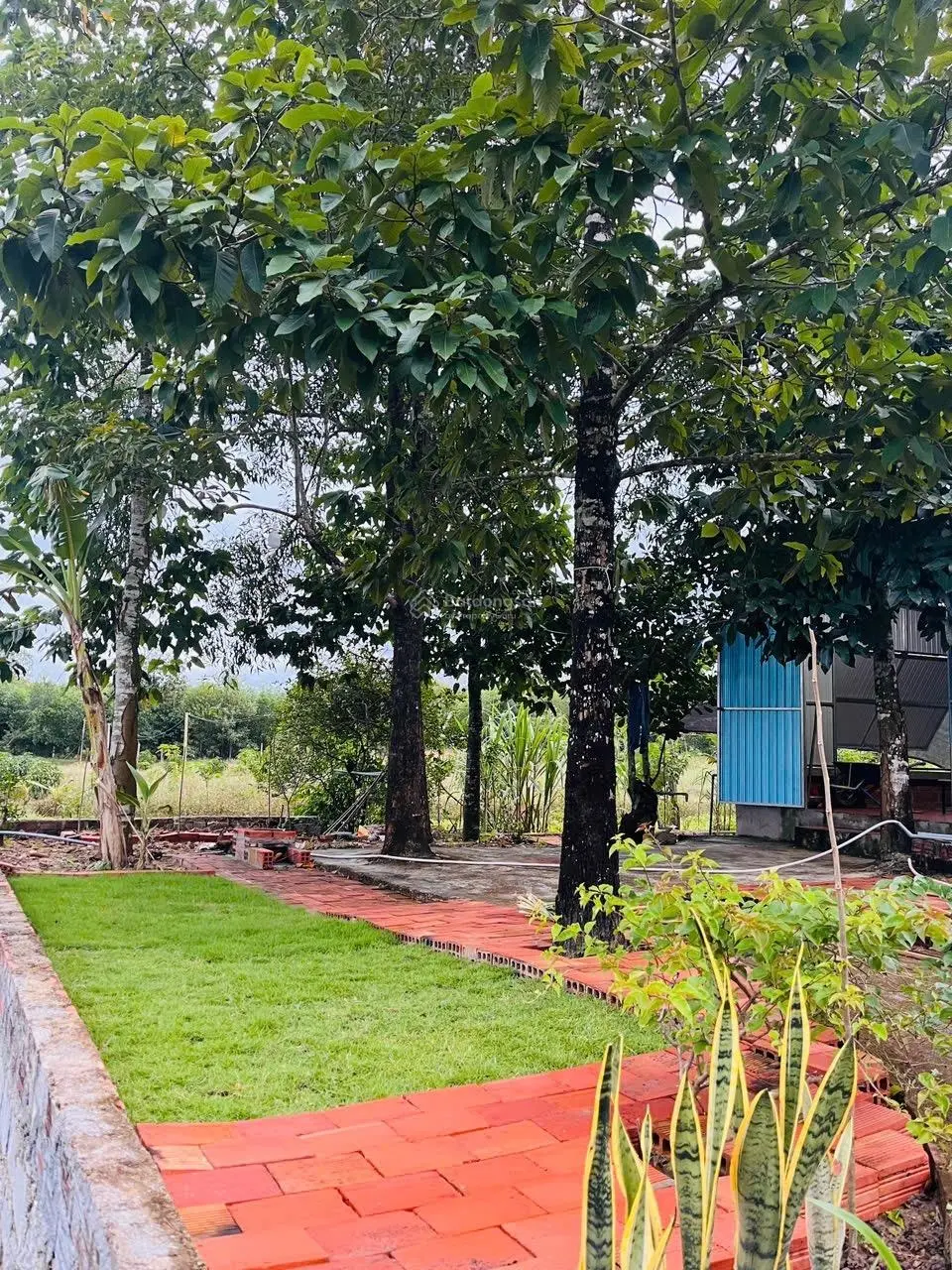 Đất vườn -xã phước mỹ tp quy nhơn giá rẻ