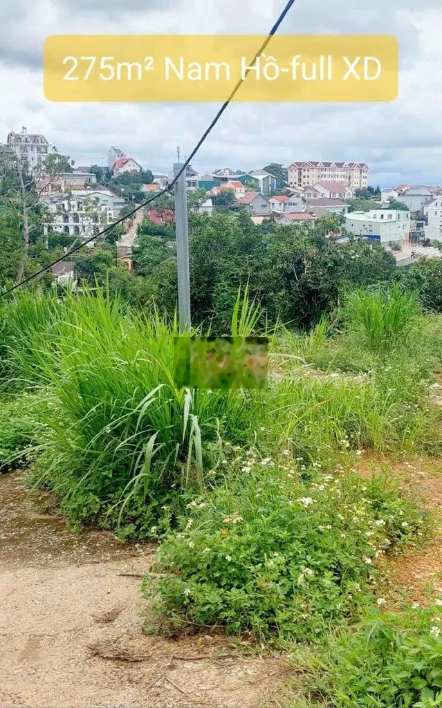 🌳Bán lô đất Nam Hồ 275m- 7 Tỷ 2 giá đầu tư- gần trung tâm tp Đà Lạt