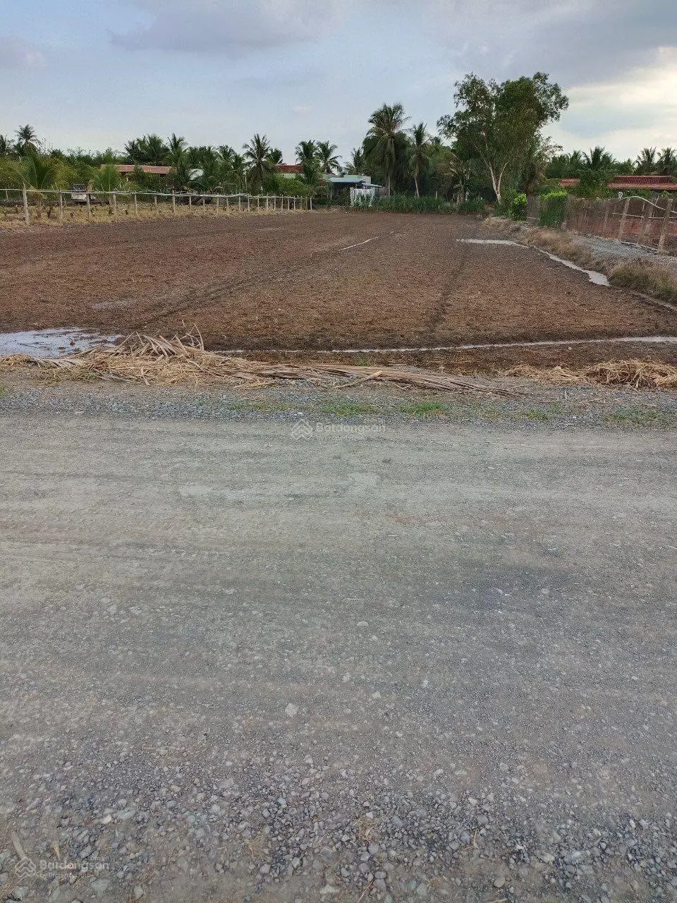 Bán 2532m2 lúa (22 x 102), 3 mặt tiền đường 6m xã Lợi Bình Nhơn. Giá: 1 tỷ 350 triệu / 1000m2