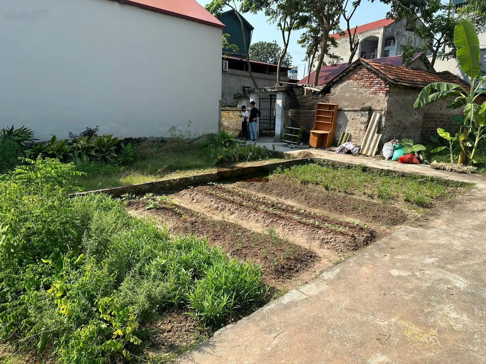 40m thị trấn Phúc Thọ đối diện Huyện ủy giá chỉ vài trăm triệu