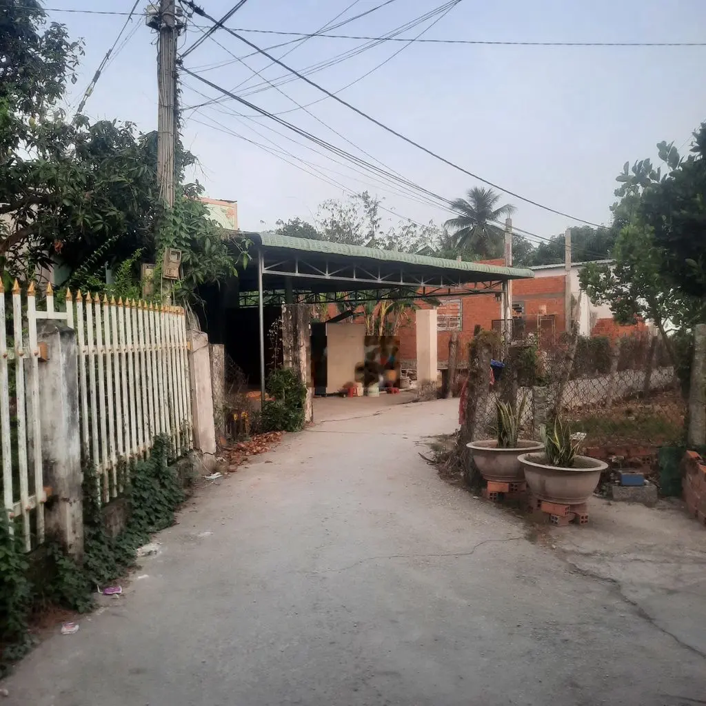 - Cần Bán Đất Tặng Nhà Cấp 4 Tân Hội Vĩnh Long