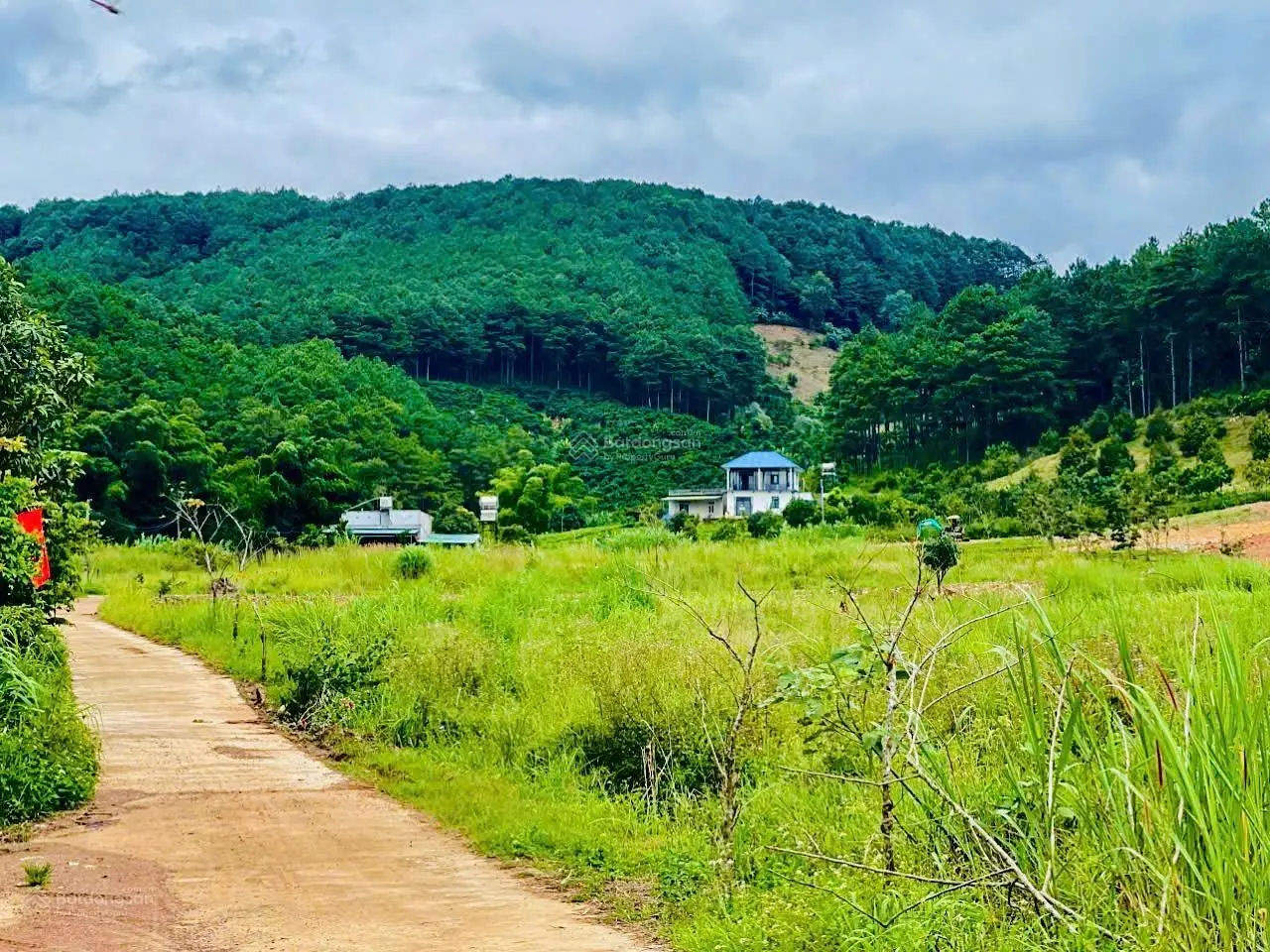 ĐẤT VEN DALAT | XÃ GIA LÂM | HUYỆN LÂM HÀ | TỈNH LÂM ĐỒNG