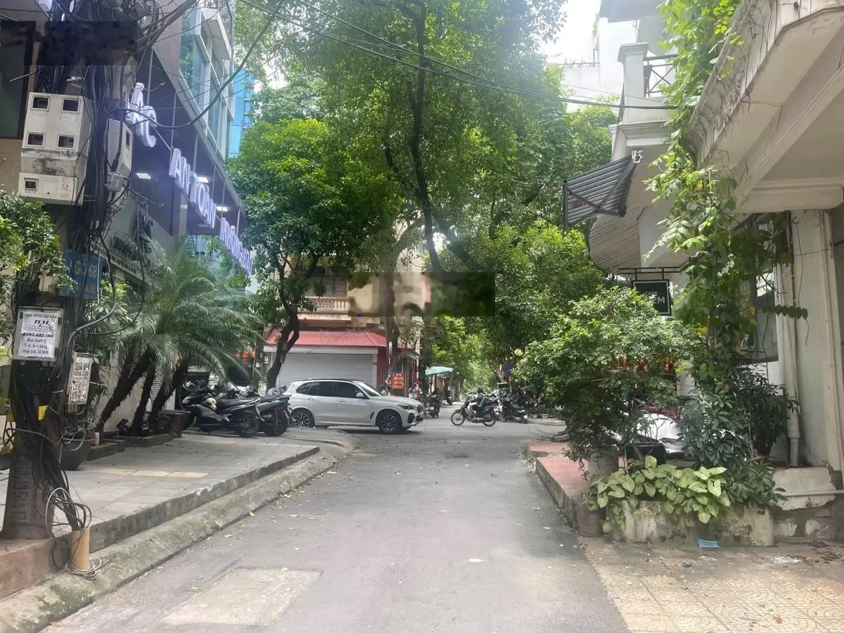 Bán nhà phân lô Trần Quang Diệu, Đống Đa, vỉa hè, kinh doanh, an sinh đỉnh. 42m, 4 tầng, mt 3.8m