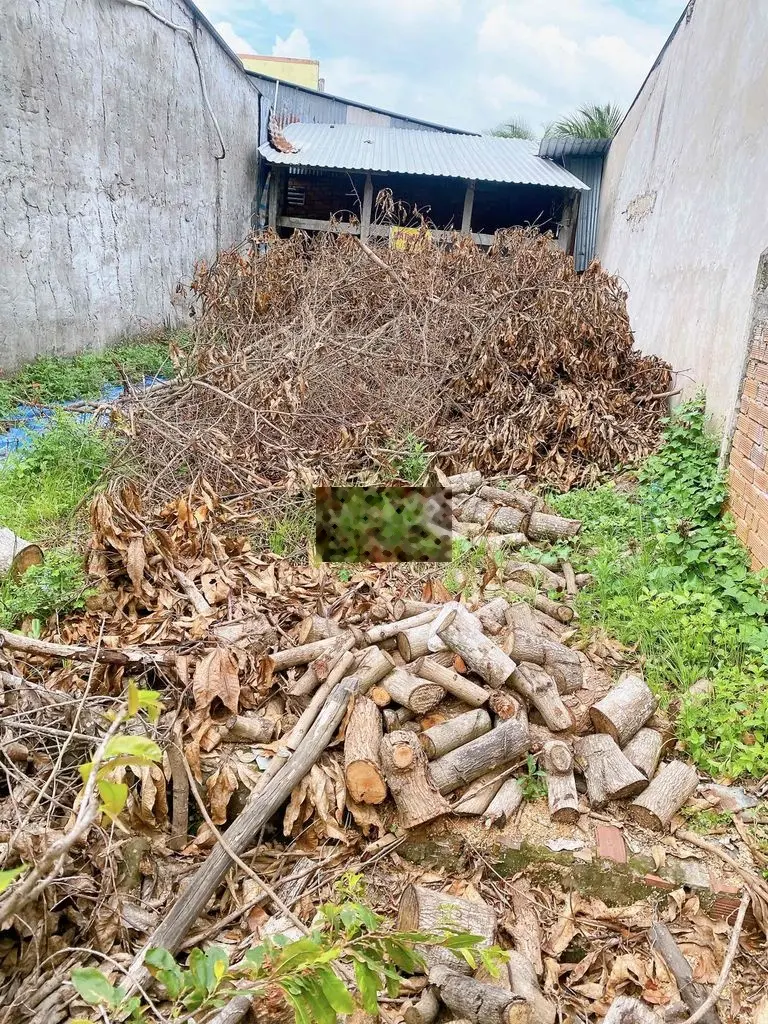 bán nền nhà đường lưu nhân sâm bình minh