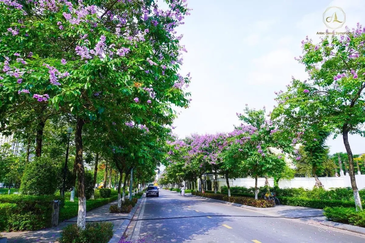 Bán song lập khu đô thị An Lạc Green Symphony 132.69m2 hotline: 0986 099 ***