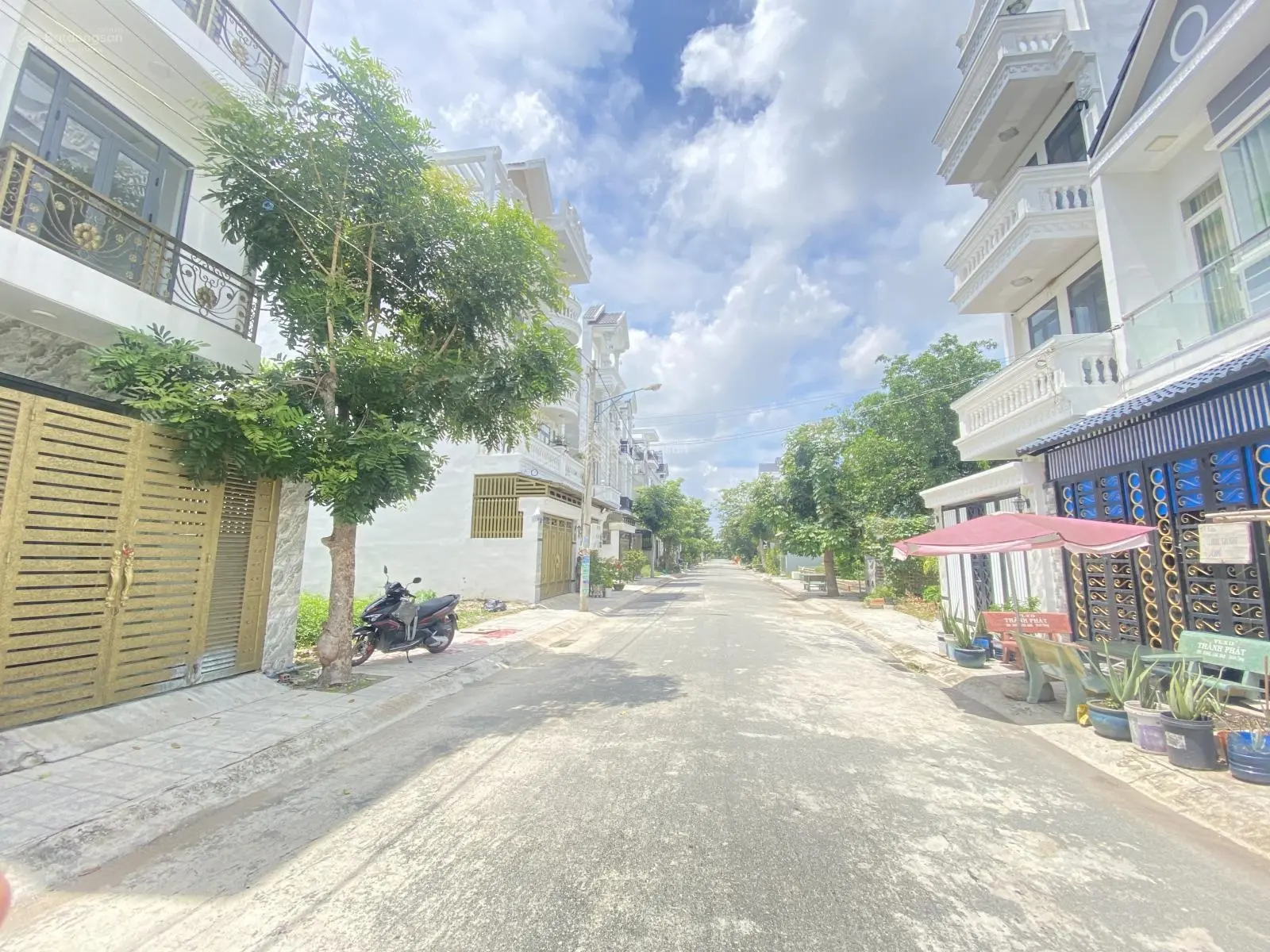 Bán đất Cát Tường Phú Sinh giá rẻ khu H3 nhà nhiều DT: 4*15m SHR còn đúng 1 lô rẻ bán gấp