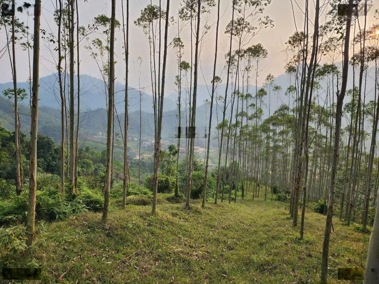 Bán 1ha đất có thổ cư ,giá chỉ hơn 700 triệu ,cách hà nội chỉ hơn 80km tại thanh sơn phú thọ