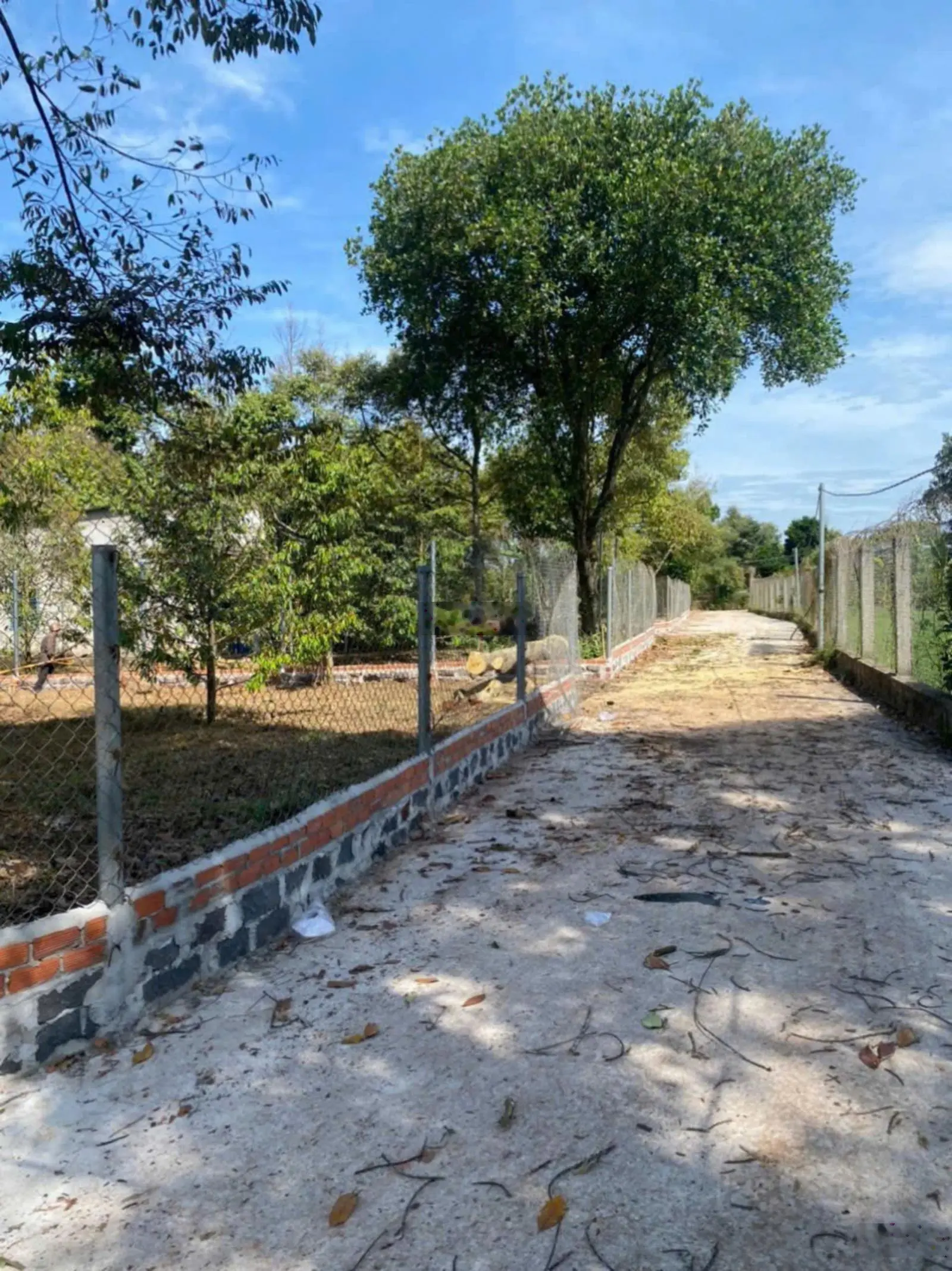 Bán 500m2 đất vườn sầu riêng 5 năm, đang thu hoạch. Giá 1.35 tỷ. Xuân Lập Tp Long Khánh