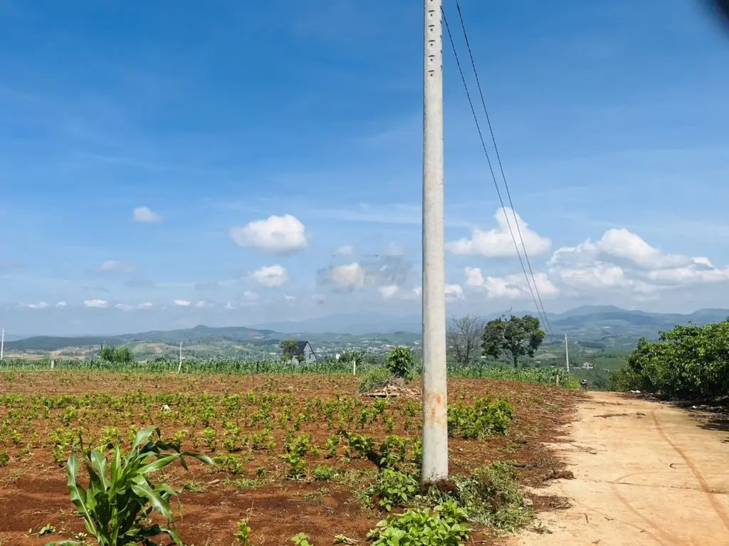 Nghỉ dưỡng ngoại ô Đà Lạt 1011m2 100m thổ cư sổ riêng view săn mây