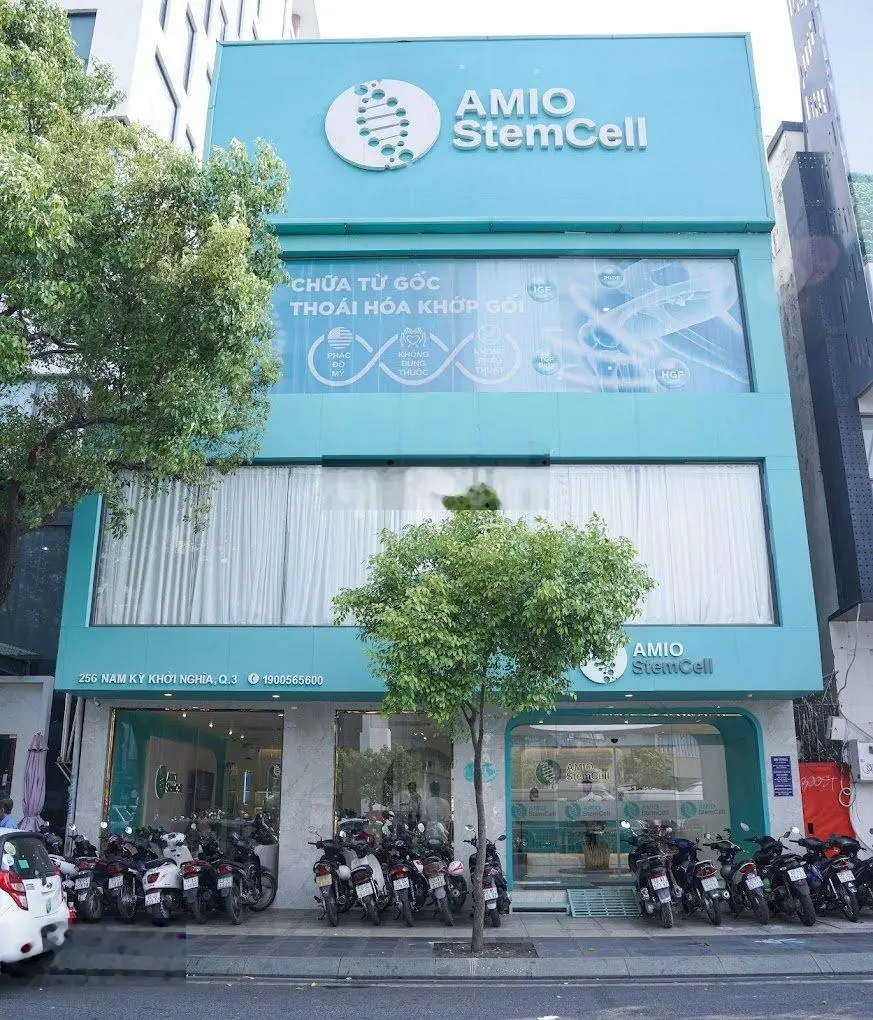 Siêu phẩm MT Lý Thường Kiệt, Quận 10, 12x20m, Trệt + 3 Lầu, HĐT: 160 triệu/tháng, giá 55 tỷ